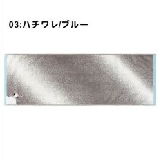03:ハチワレ/ブルー