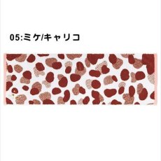 05:ミケ/キャリコ