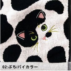 画像6: うちのニャンコ毛並み　ロングフェイスタオル《6色、約34×100cm、今治タオル》 (6)