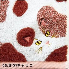 画像9: うちのニャンコ毛並み　ロングフェイスタオル《6色、約34×100cm、今治タオル》 (9)