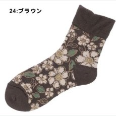 24:ブラウン