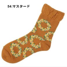 54:マスタード