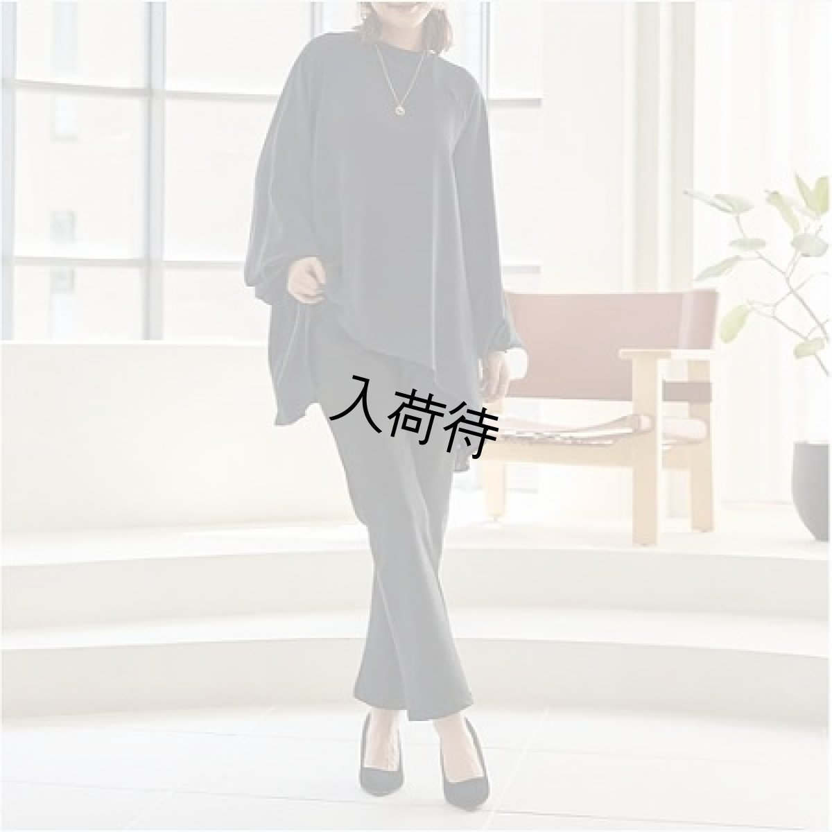 画像1: Reginetta　デニム裏起毛　冬素材　前ポケットスリムストレート　【12月上旬入荷予定】《M・L・LL、2色、股下丈68cm》 (1)