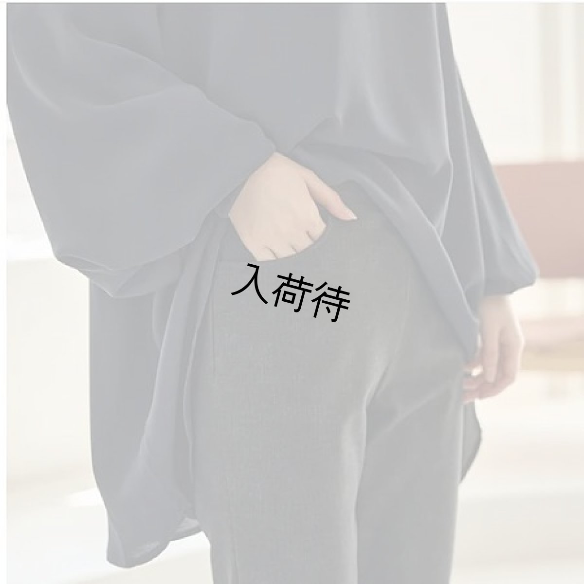 画像3: Reginetta　デニム裏起毛　冬素材　前ポケットスリムストレート　【12月上旬入荷予定】《M・L・LL、2色、股下丈68cm》 (3)