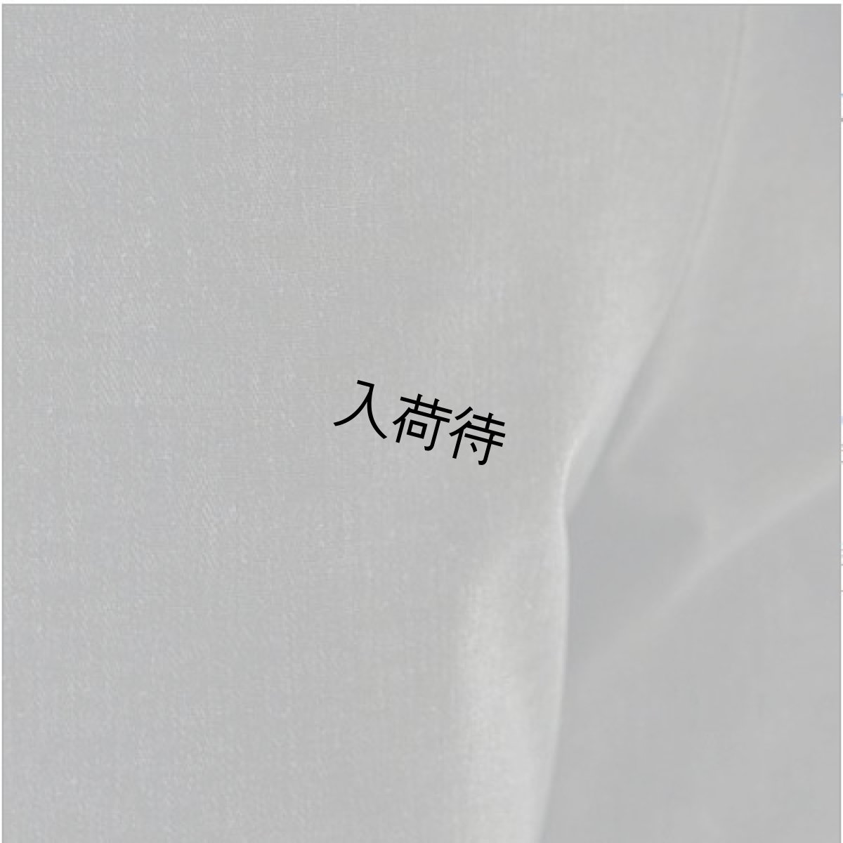 画像4: Reginetta　デニム裏起毛　冬素材　前ポケットスリムストレート　【12月上旬入荷予定】《M・L・LL、2色、股下丈68cm》 (4)