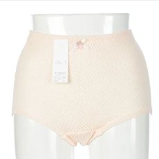 画像2: エトワール海渡　のびのび柔らか　エトワール841　ベーシックショーツ　LL　ハンガーパッケージ《3色》 (2)