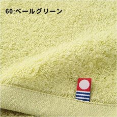 60:ペールグリーン