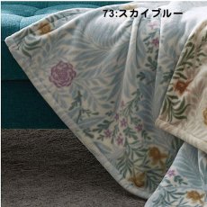 73:スカイブルー